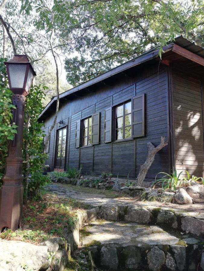 Mas Senyarich Villa Argelès-sur-Mer Eksteriør bilde
