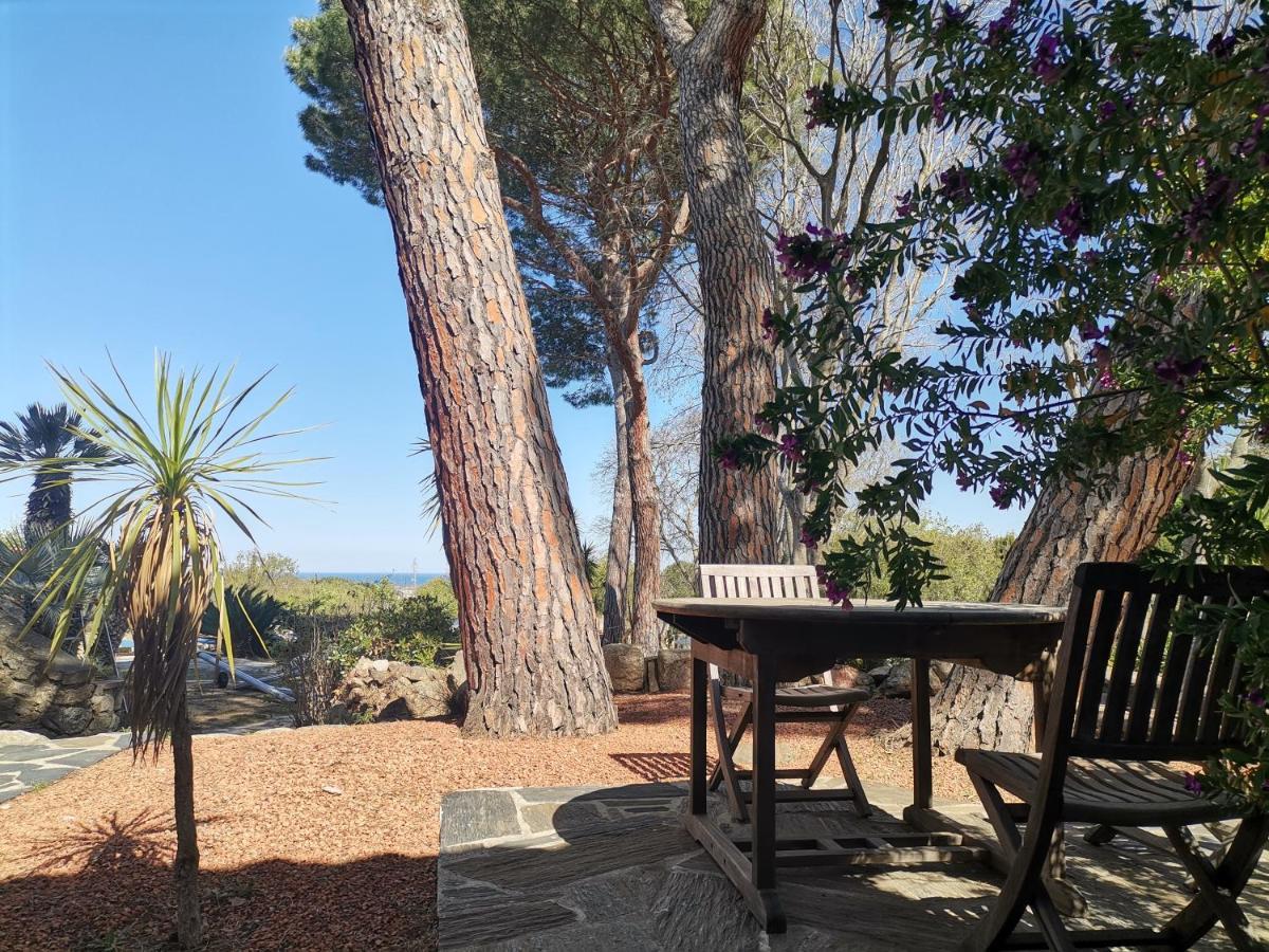 Mas Senyarich Villa Argelès-sur-Mer Eksteriør bilde